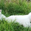E-6Woche